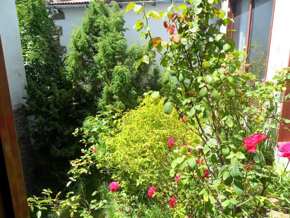 Hotel Panoramico Bariloche 外观 照片